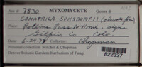 Image Associated With the Occurence